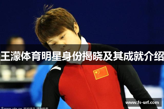 王濛体育明星身份揭晓及其成就介绍