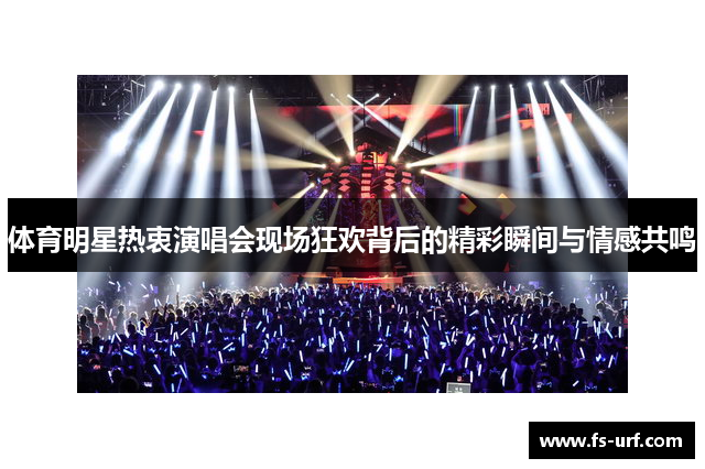 体育明星热衷演唱会现场狂欢背后的精彩瞬间与情感共鸣
