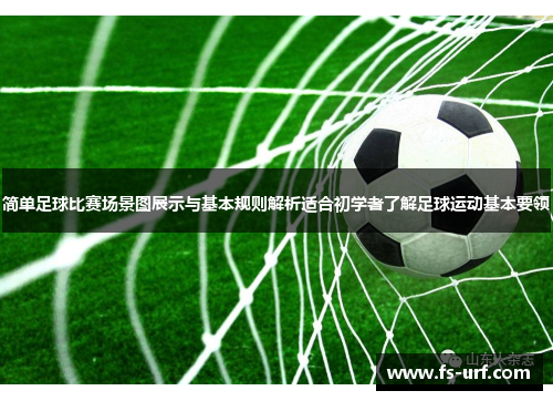 简单足球比赛场景图展示与基本规则解析适合初学者了解足球运动基本要领
